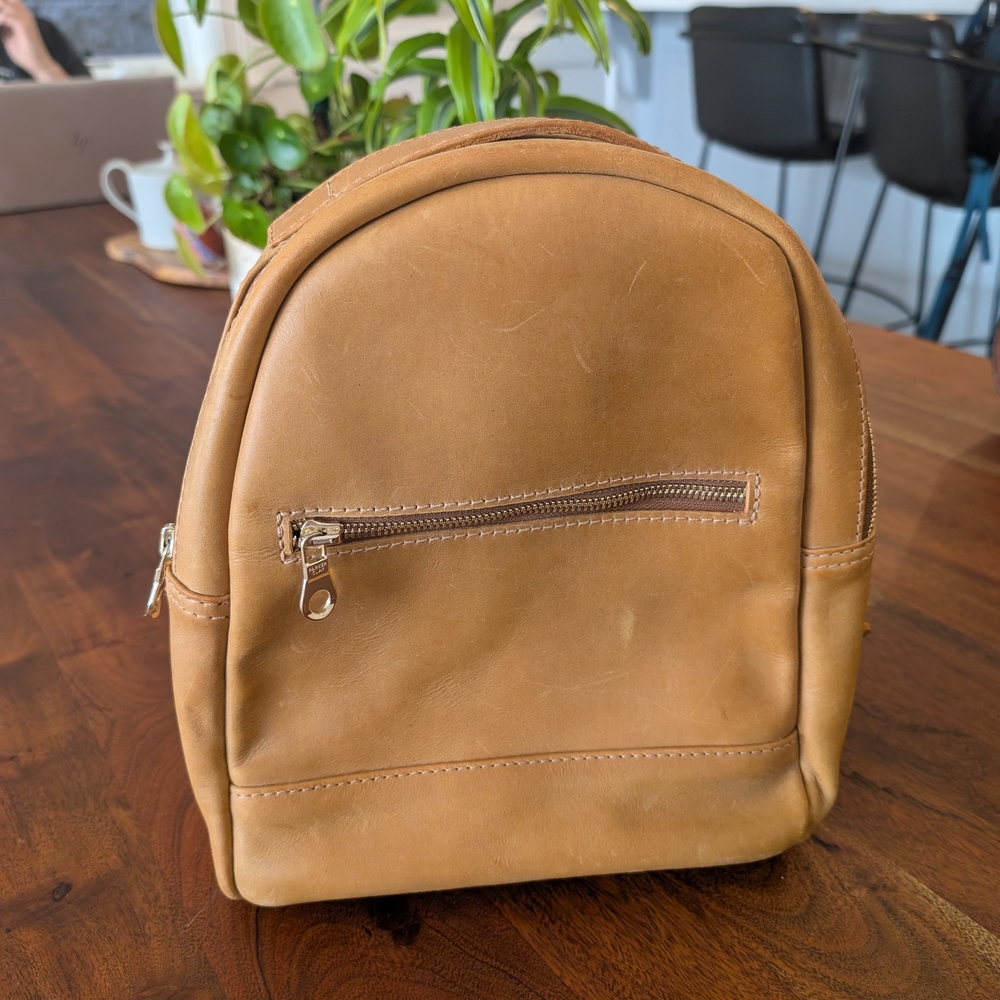 Parker Clay mini Ella backpack, EUC